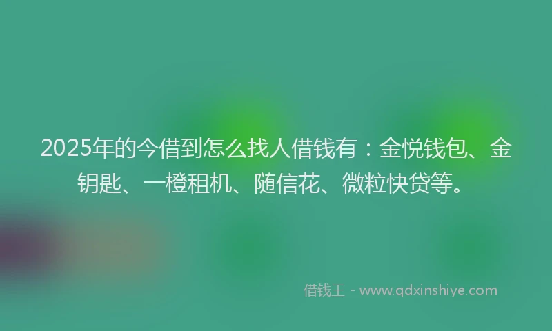 2025年的今借到怎么找人借钱有：金悦钱包、金钥匙、一橙租机、随信花、微粒快贷等。