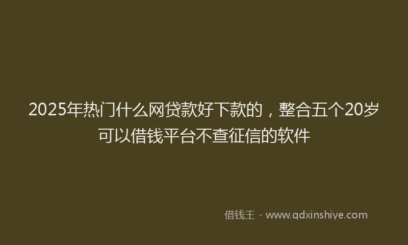 2025年热门什么网贷款好下款的，整合五个20岁可以借钱平台不查征信的软件