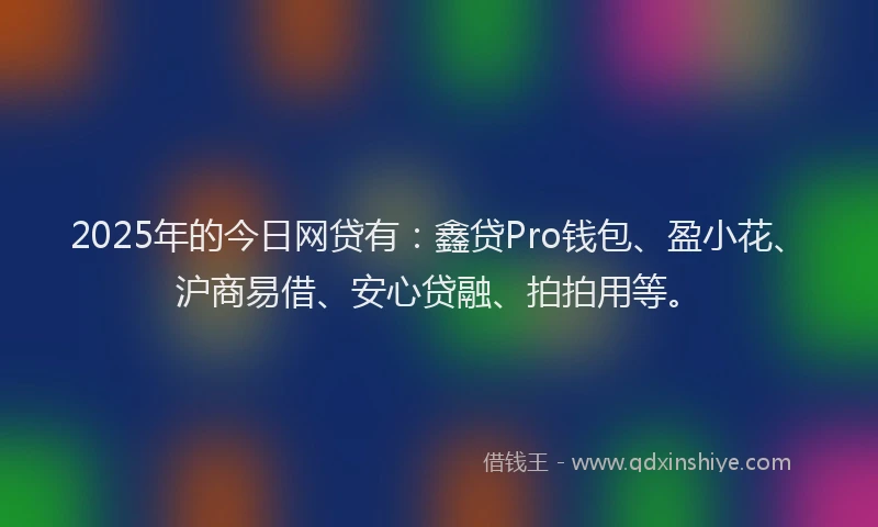 2025年的今日网贷有：鑫贷Pro钱包、盈小花、沪商易借、安心贷融、拍拍用等。