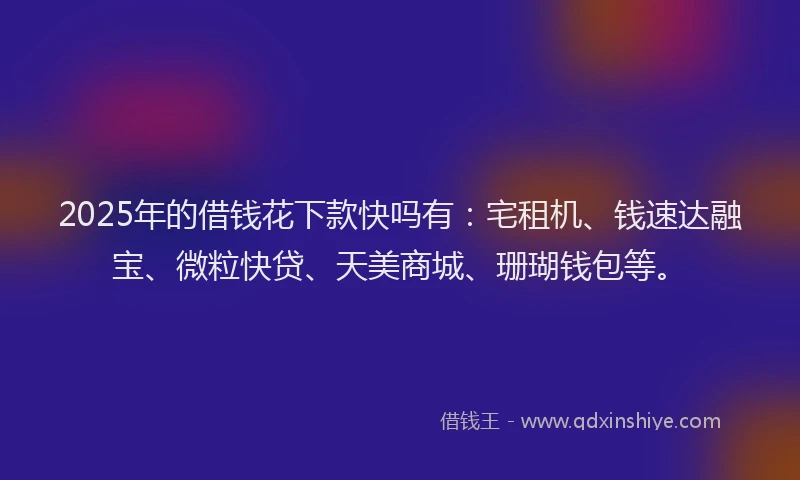 2025年的借钱花下款快吗有：宅租机、钱速达融宝、微粒快贷、天美商城、珊瑚钱包等。
