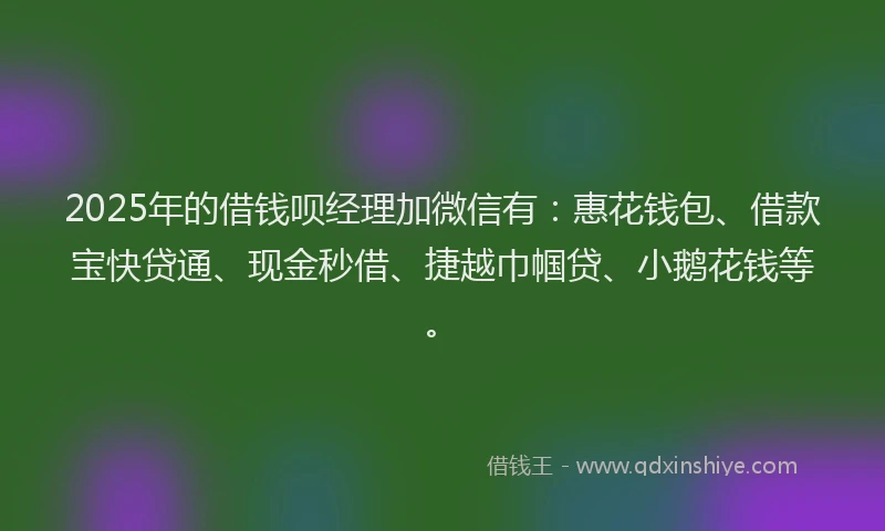 2025年的借钱呗经理加微信有：惠花钱包、借款宝快贷通、现金秒借、捷越巾帼贷、小鹅花钱等。