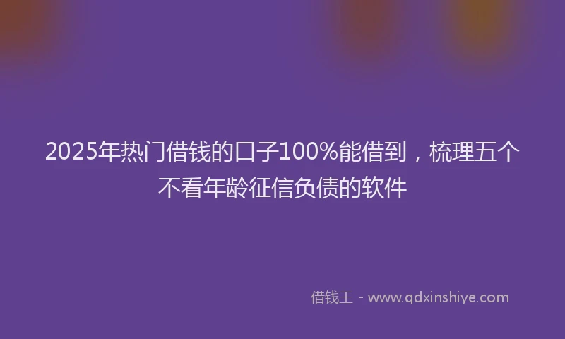 2025年热门借钱的口子100%能借到，梳理五个不看年龄征信负债的软件