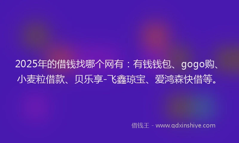 2025年的借钱找哪个网有：有钱钱包、gogo购、小麦粒借款、贝乐享-飞鑫琼宝、爱鸿森快借等。