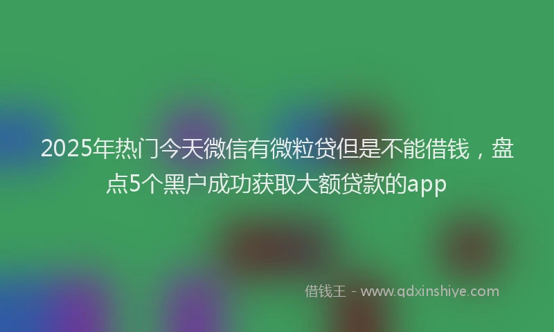 2025年热门今天微信有微粒贷但是不能借钱，盘点5个黑户成功获取大额贷款的app