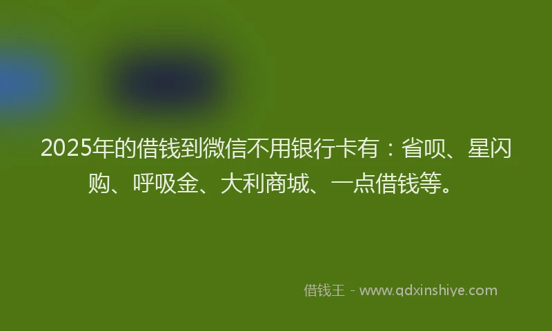 2025年的借钱到微信不用银行卡有：省呗、星闪购、呼吸金、大利商城、一点借钱等。