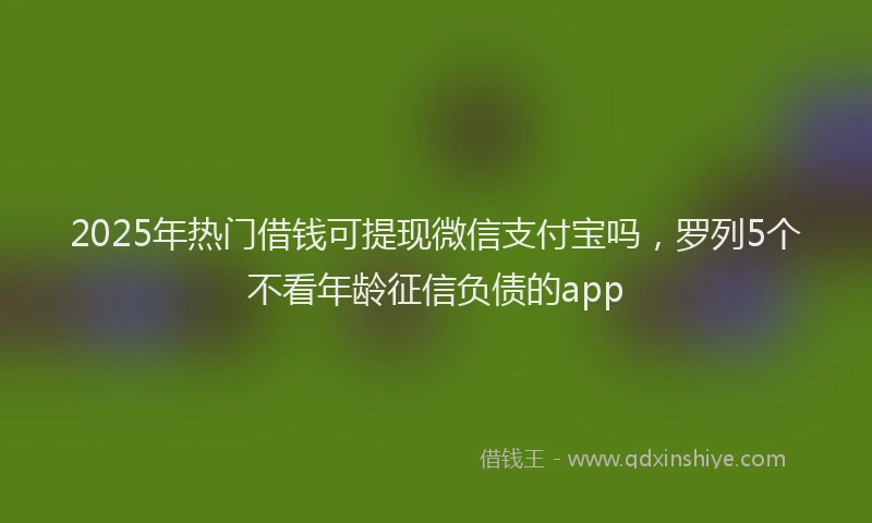 2025年热门借钱可提现微信支付宝吗，罗列5个不看年龄征信负债的app