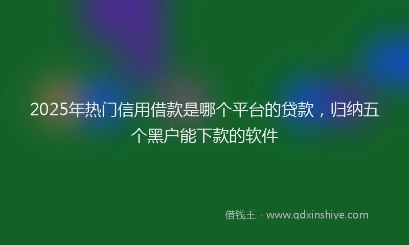 2025年热门信用借款是哪个平台的贷款，归纳五个黑户能下款的软件
