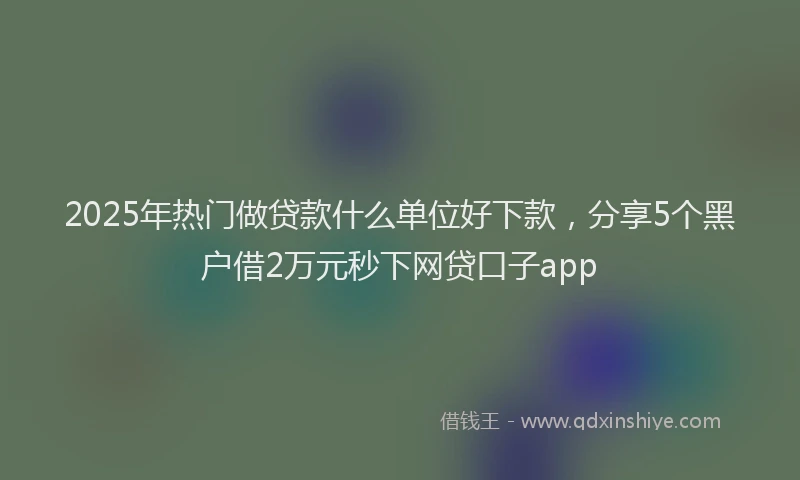 2025年热门做贷款什么单位好下款，分享5个黑户借2万元秒下网贷口子app