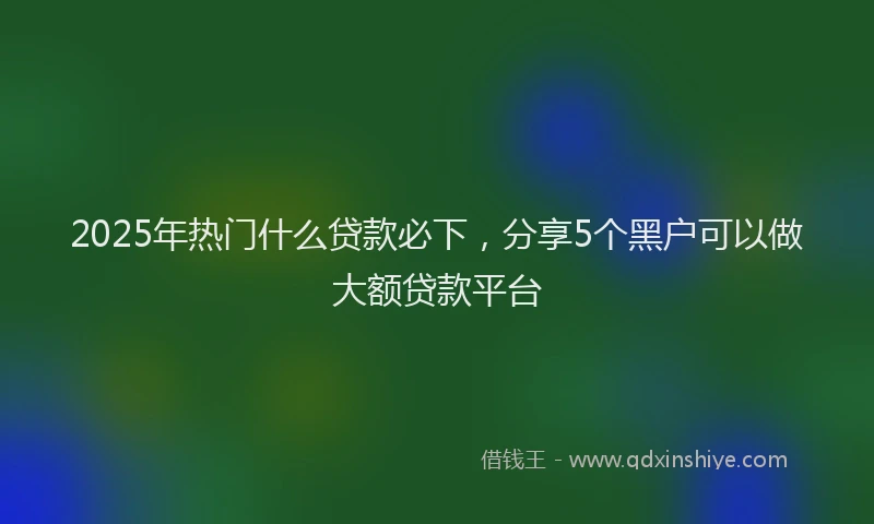 2025年热门什么贷款必下，分享5个黑户可以做大额贷款平台