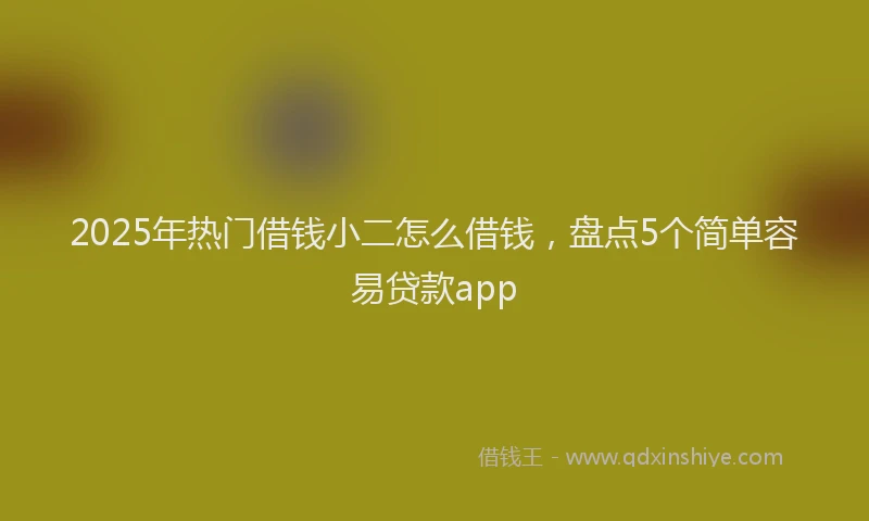 2025年热门借钱小二怎么借钱，盘点5个简单容易贷款app