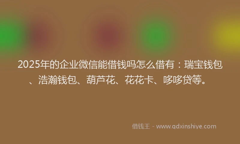 2025年的企业微信能借钱吗怎么借有：瑞宝钱包、浩瀚钱包、葫芦花、花花卡、哆哆贷等。