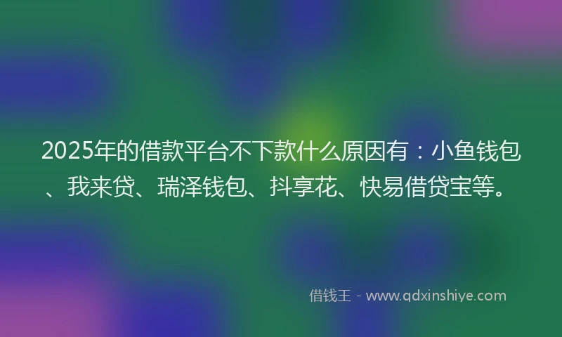 2025年的借款平台不下款什么原因有：小鱼钱包、我来贷、瑞泽钱包、抖享花、快易借贷宝等。