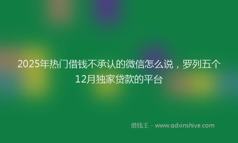 2025年热门借钱不承认的微信怎么说，罗列五个12月独家贷款的平台