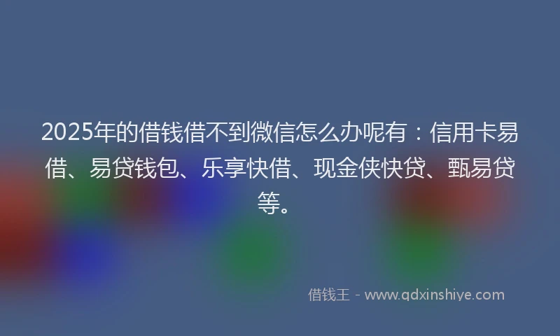 2025年的借钱借不到微信怎么办呢有：信用卡易借、易贷钱包、乐享快借、现金侠快贷、甄易贷等。