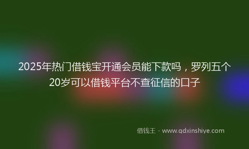 2025年热门借钱宝开通会员能下款吗，罗列五个20岁可以借钱平台不查征信的口子