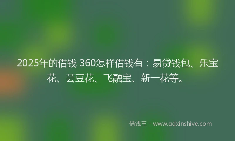 2025年的借钱 360怎样借钱有：易贷钱包、乐宝花、芸豆花、飞融宝、新一花等。