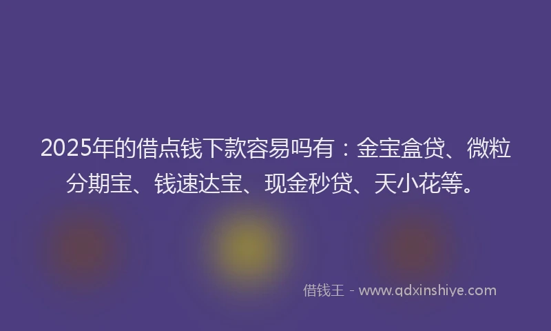 2025年的借点钱下款容易吗有：金宝盒贷、微粒分期宝、钱速达宝、现金秒贷、天小花等。
