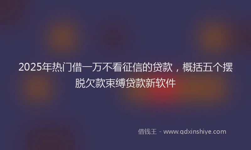 2025年热门借一万不看征信的贷款，概括五个摆脱欠款束缚贷款新软件