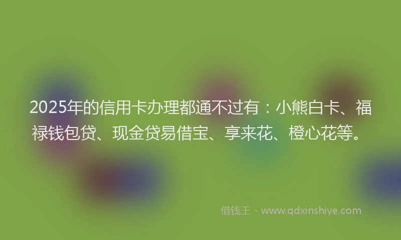 2025年的信用卡办理都通不过有：小熊白卡、福禄钱包贷、现金贷易借宝、享来花、橙心花等。
