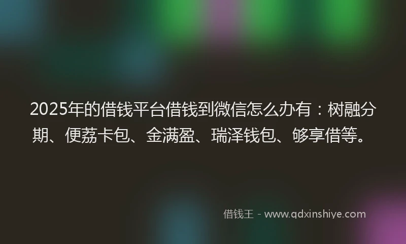 2025年的借钱平台借钱到微信怎么办有：树融分期、便荔卡包、金满盈、瑞泽钱包、够享借等。