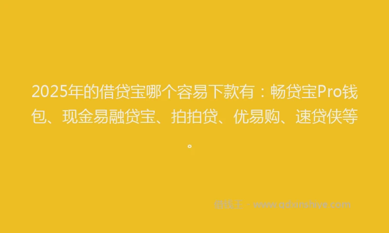 2025年的借贷宝哪个容易下款有：畅贷宝Pro钱包、现金易融贷宝、拍拍贷、优易购、速贷侠等。