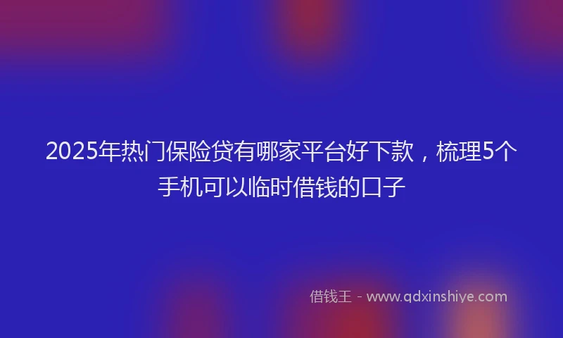 2025年热门保险贷有哪家平台好下款，梳理5个手机可以临时借钱的口子