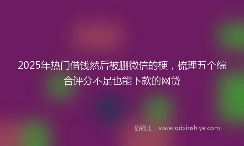2025年热门借钱然后被删微信的梗，梳理五个综合评分不足也能下款的网贷