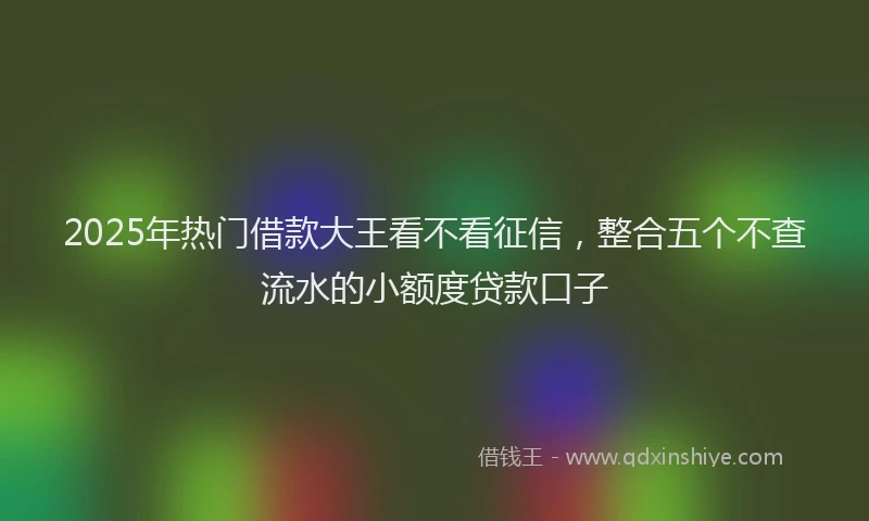 2025年热门借款大王看不看征信，整合五个不查流水的小额度贷款口子