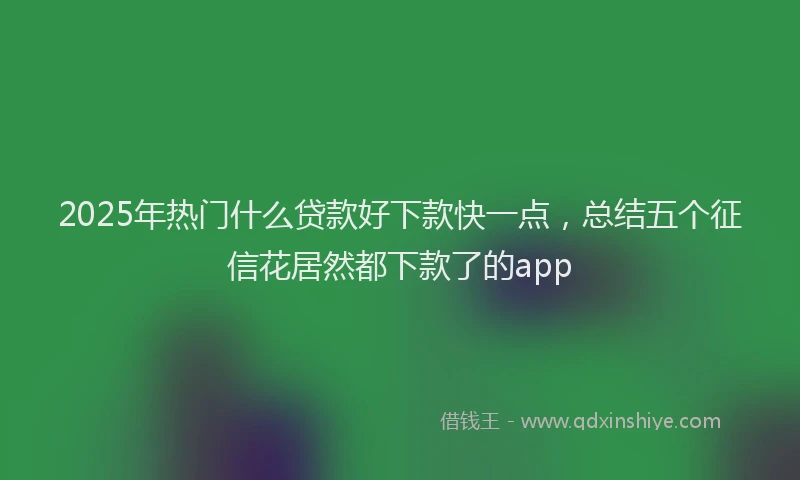 2025年热门什么贷款好下款快一点，总结五个征信花居然都下款了的app