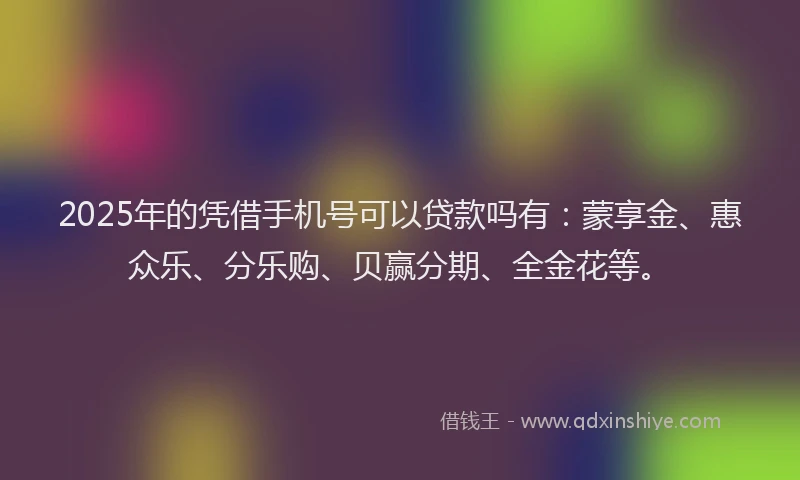 2025年的凭借手机号可以贷款吗有：蒙享金、惠众乐、分乐购、贝赢分期、全金花等。