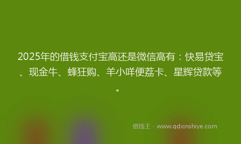 2025年的借钱支付宝高还是微信高有：快易贷宝、现金牛、蜂狂购、羊小咩便荔卡、星辉贷款等。