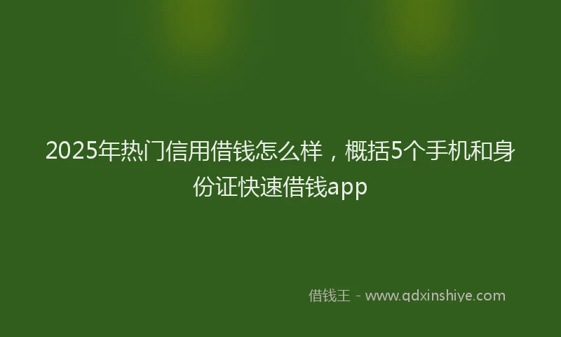 2025年热门信用借钱怎么样，概括5个手机和身份证快速借钱app