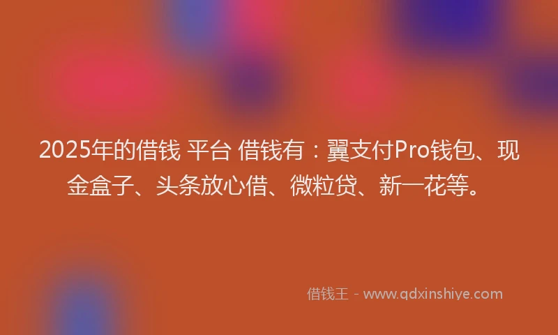 2025年的借钱 平台 借钱有：翼支付Pro钱包、现金盒子、头条放心借、微粒贷、新一花等。