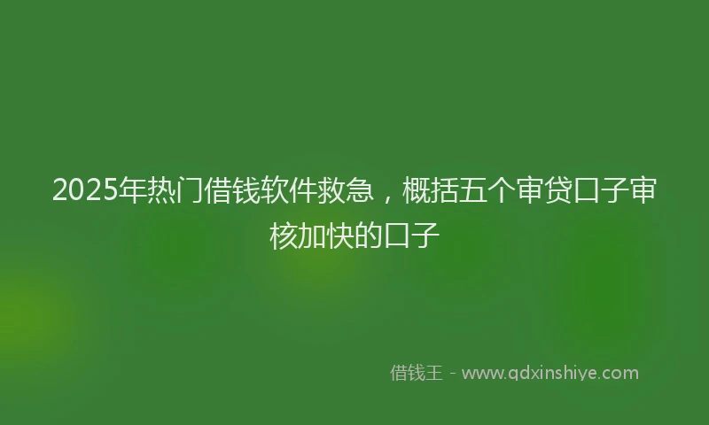 2025年热门借钱软件救急，概括五个审贷口子审核加快的口子