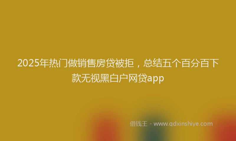 2025年热门做销售房贷被拒，总结五个百分百下款无视黑白户网贷app