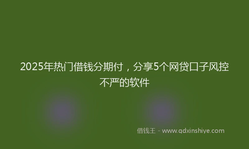 2025年热门借钱分期付，分享5个网贷口子风控不严的软件