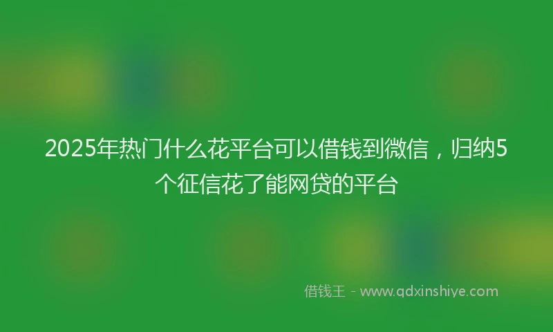 2025年热门什么花平台可以借钱到微信，归纳5个征信花了能网贷的平台