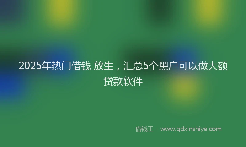 2025年热门借钱 放生，汇总5个黑户可以做大额贷款软件