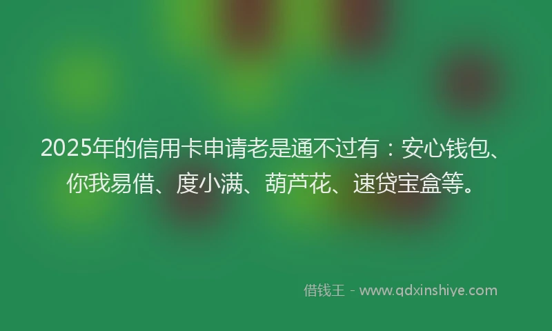 2025年的信用卡申请老是通不过有：安心钱包、你我易借、度小满、葫芦花、速贷宝盒等。