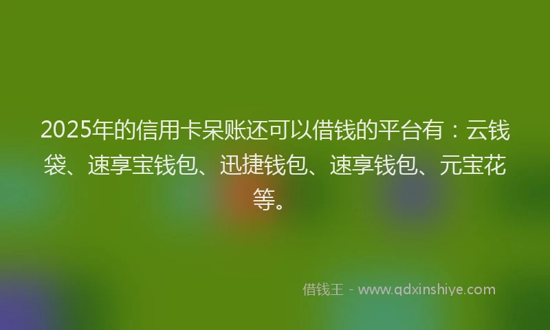 2025年的信用卡呆账还可以借钱的平台有：云钱袋、速享宝钱包、迅捷钱包、速享钱包、元宝花等。