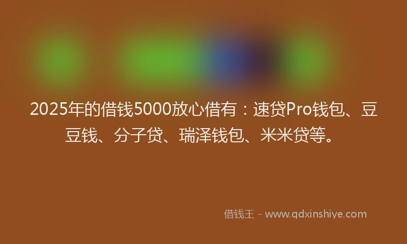 2025年的借钱5000放心借有：速贷Pro钱包、豆豆钱、分子贷、瑞泽钱包、米米贷等。