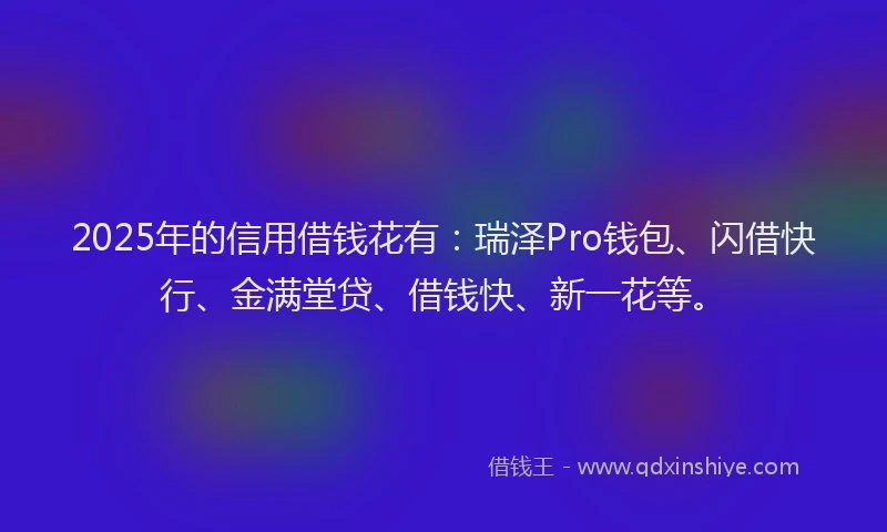 2025年的信用借钱花有：瑞泽Pro钱包、闪借快行、金满堂贷、借钱快、新一花等。