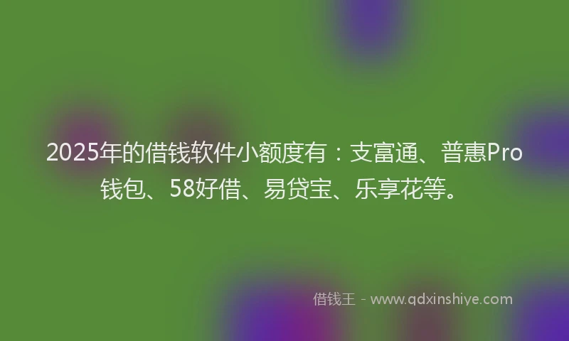 2025年的借钱软件小额度有：支富通、普惠Pro钱包、58好借、易贷宝、乐享花等。