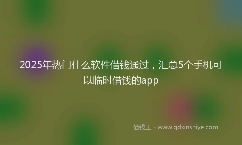 2025年热门什么软件借钱通过，汇总5个手机可以临时借钱的app