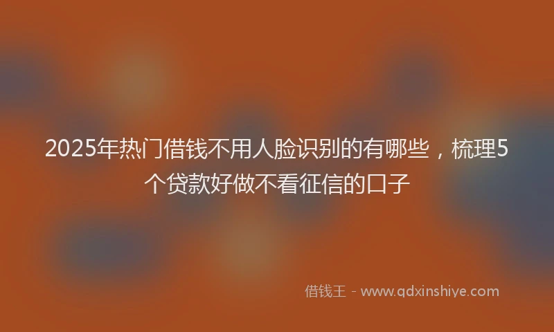 2025年热门借钱不用人脸识别的有哪些，梳理5个贷款好做不看征信的口子