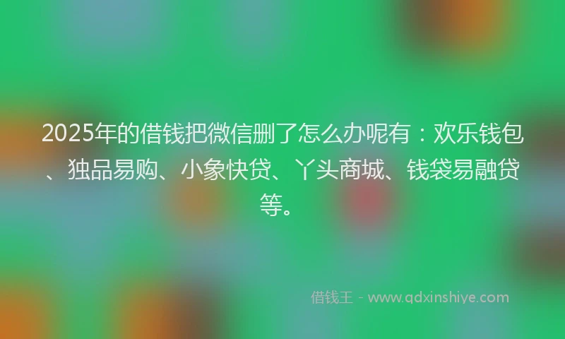 2025年的借钱把微信删了怎么办呢有：欢乐钱包、独品易购、小象快贷、丫头商城、钱袋易融贷等。