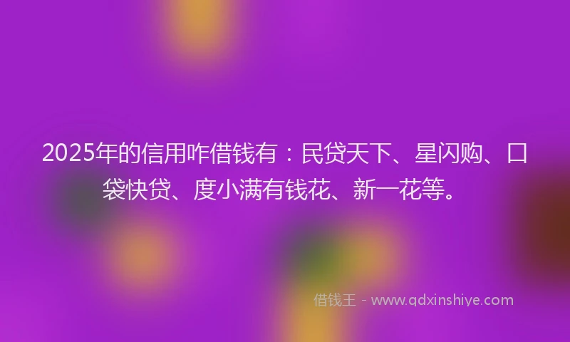 2025年的信用咋借钱有：民贷天下、星闪购、口袋快贷、度小满有钱花、新一花等。