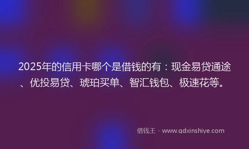 2025年的信用卡哪个是借钱的有：现金易贷通途、优投易贷、琥珀买单、智汇钱包、极速花等。