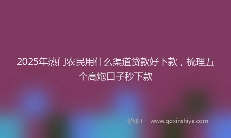2025年热门农民用什么渠道贷款好下款，梳理五个高炮口子秒下款