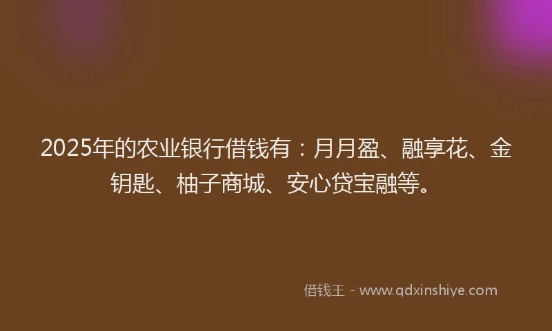 2025年的农业银行借钱有：月月盈、融享花、金钥匙、柚子商城、安心贷宝融等。